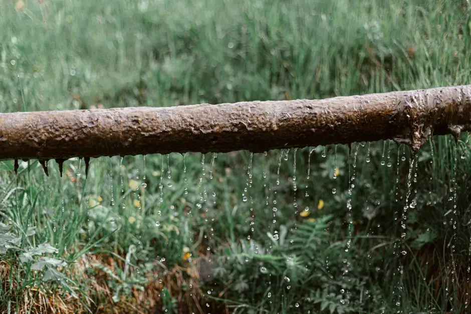 Leaking pipe dripping water onto grass
